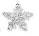 Remember a loved one this season with a Seasons Snowflake tac pin. 