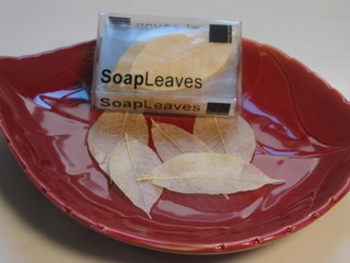 unknown Soap Leaves Plate Set